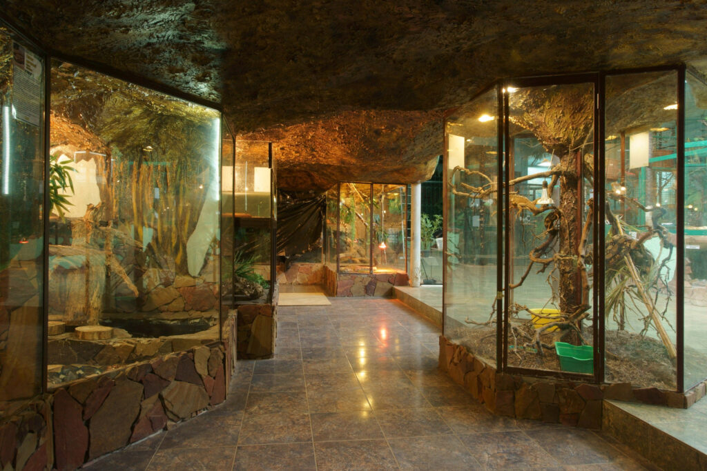 зоопарк «Тропикпарк» в Евпатории