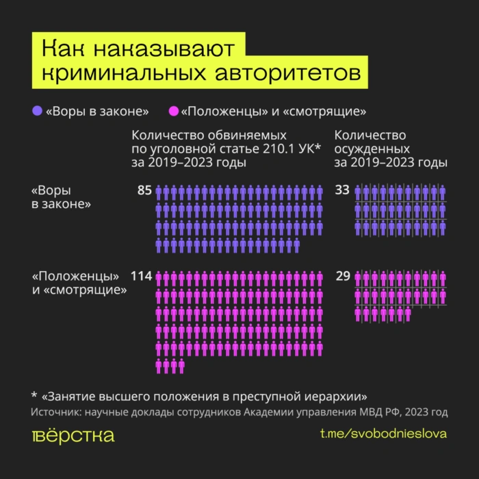 Вор в законе инфографика