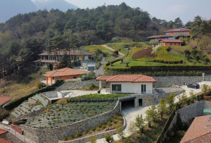 Владимир Соловьёв