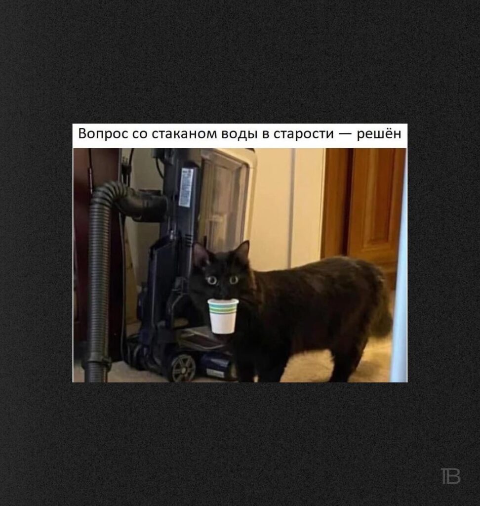 Чайлдфри: Мемы из&nbsp;пабликов, признанных запрещёнными