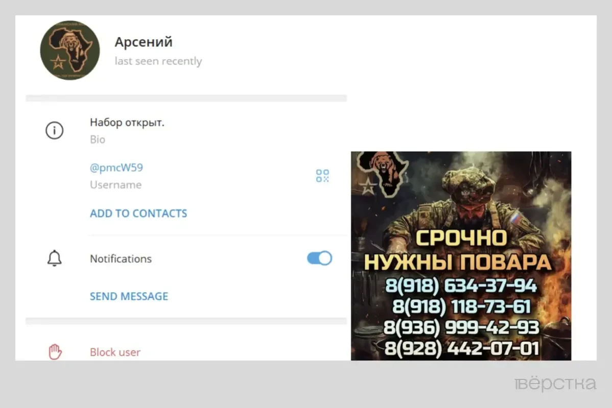 “Африканский корпус” МО фактически заменил ЧВК “Вагнер” в&nbsp;ряде африканских стран 