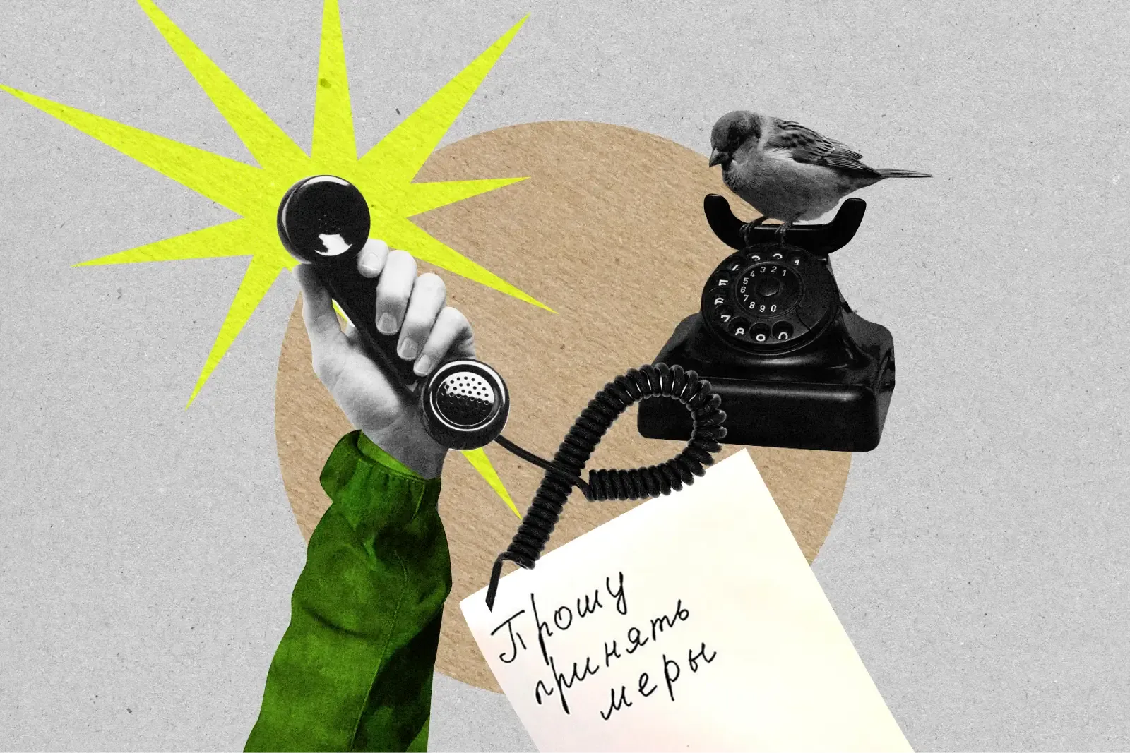 Солдаты и их родные массово жалуются на избиения, расстрелы и вымогательства