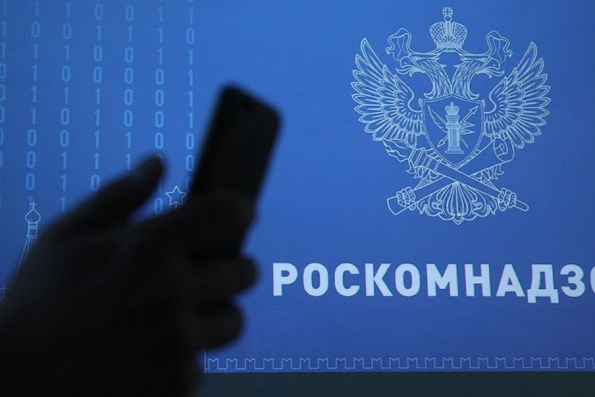 Общая аудитория этих приложений превышает 3,1 млн человек