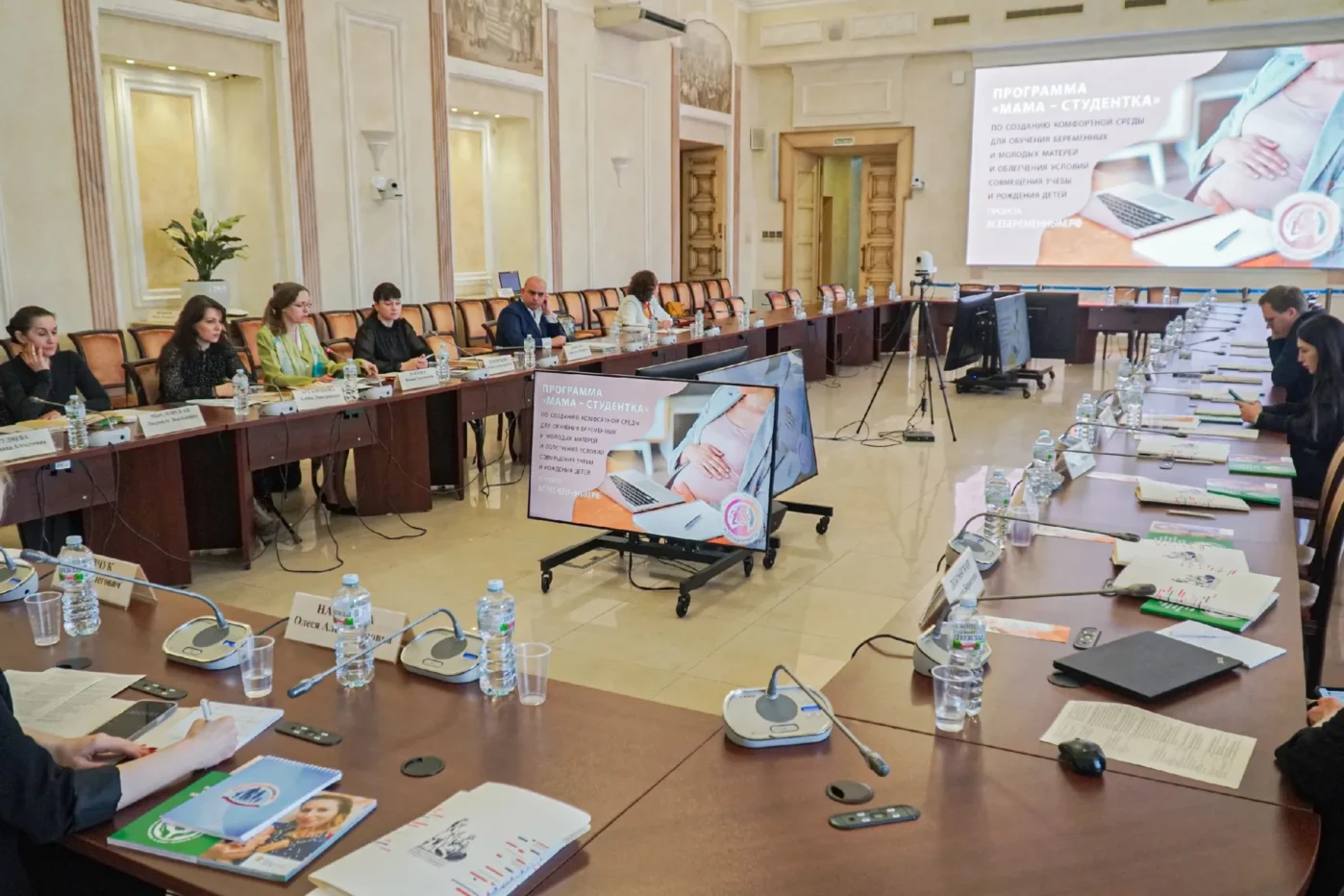 Обсуждение проекта «Мама — студентка» на стратсессия АНО «Всёбеременным-16» в Казани