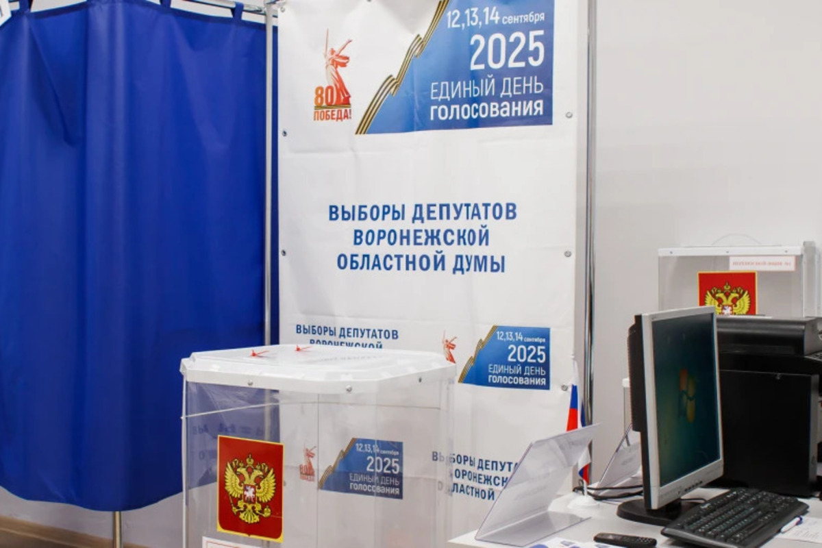 В Воронеже избиркомы не могут внести в ГАС «Выборы» результаты голосования из-за отключения интернета