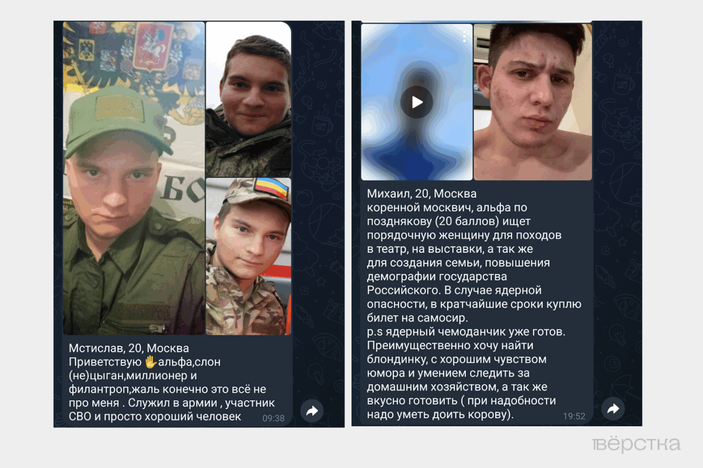 Анкета пользователя бота знакомств «Наташки и&nbsp;Степашки», созданного ультраправым Z-блогером Владиславом Поздняковым&nbsp;— консервативной альтернативы Tinder