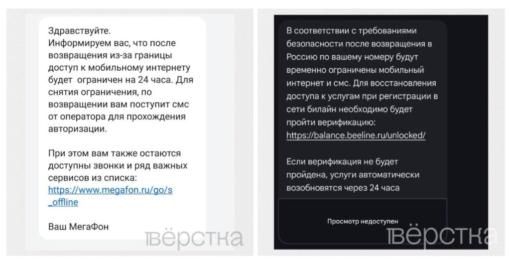 «Билайн» и «Мегафон» начали вводить 24-часовой «период охлаждения»связи для сим-карт россиян при возврате в РФ<br />