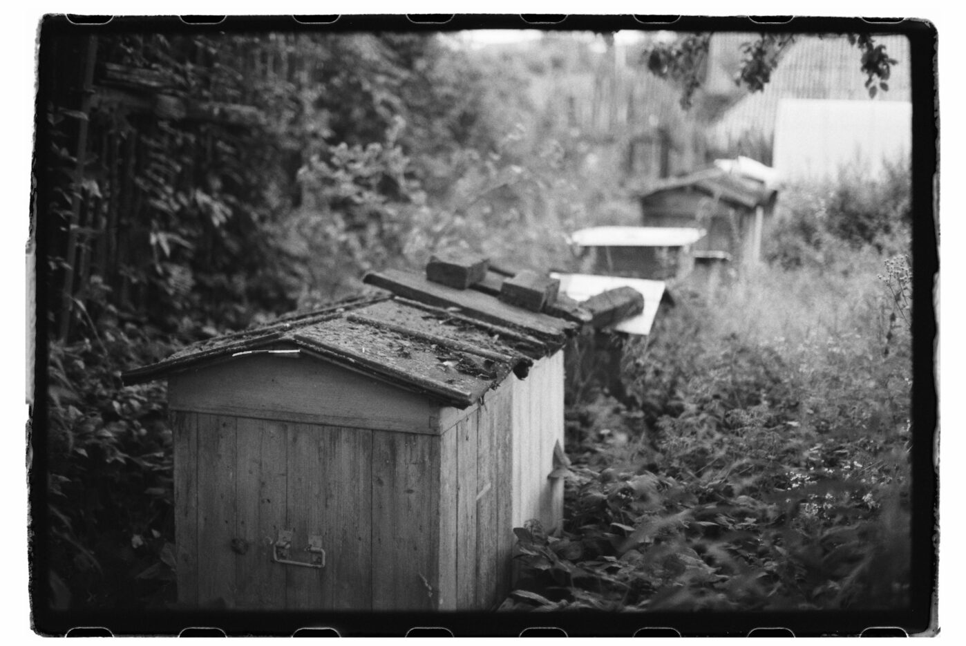 Фотограф Владимир Аверин в фотопроекте о болезни Альцгеймера у близкого человека рассказывает, с какими трудностями сталкивается человек, ухаживающий за больным