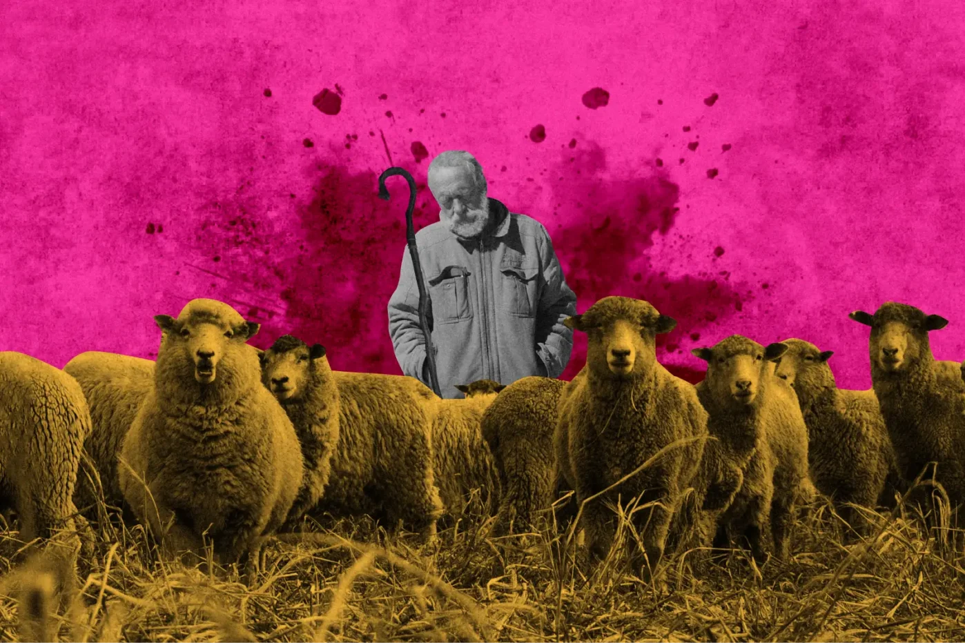 На&nbsp;четвёртый год войны с&nbsp;Украиной среди заключивших контракт с&nbsp;Минобороны стало значительно больше людей старше 60&nbsp;лет